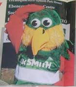 jungle vince the parrot